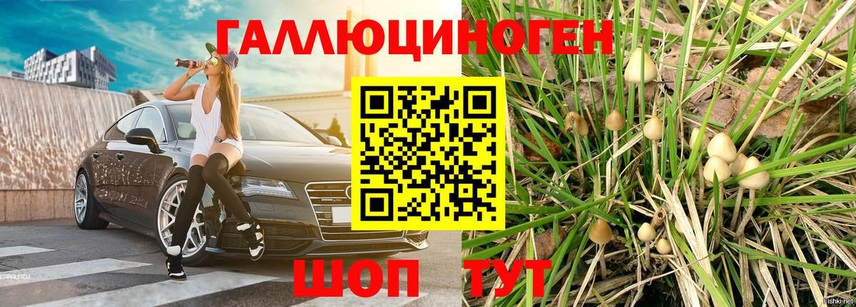 Галлюциногенные грибы MAGIC MUSHROOMS Георгиевск