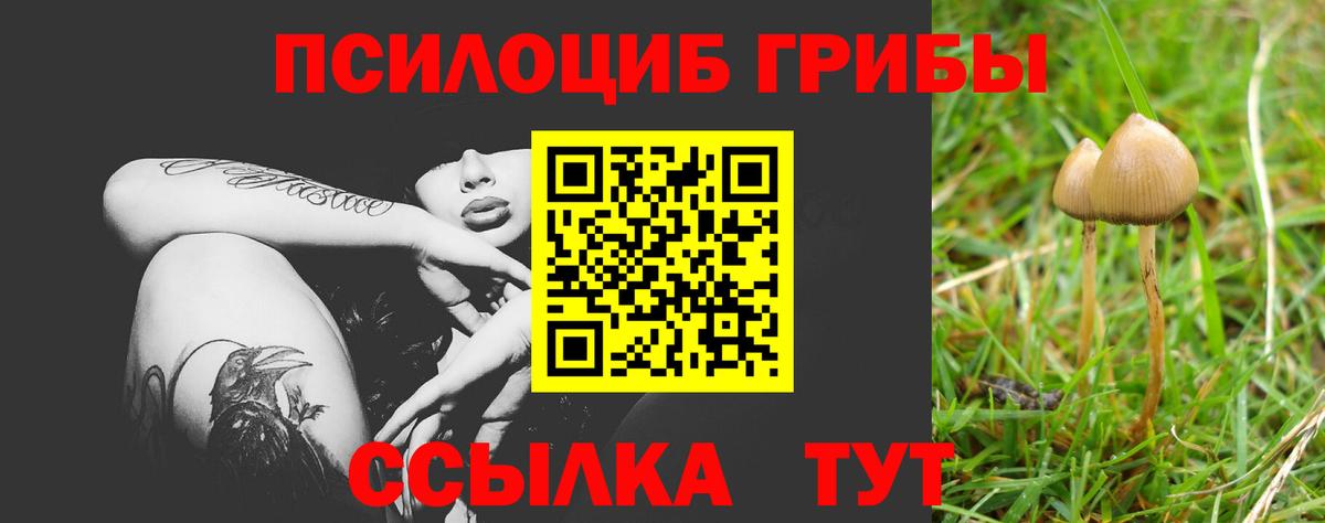 Георгиевск  дарнет шоп  Вход с VPN  Псилоцибиновые грибы мицелий 